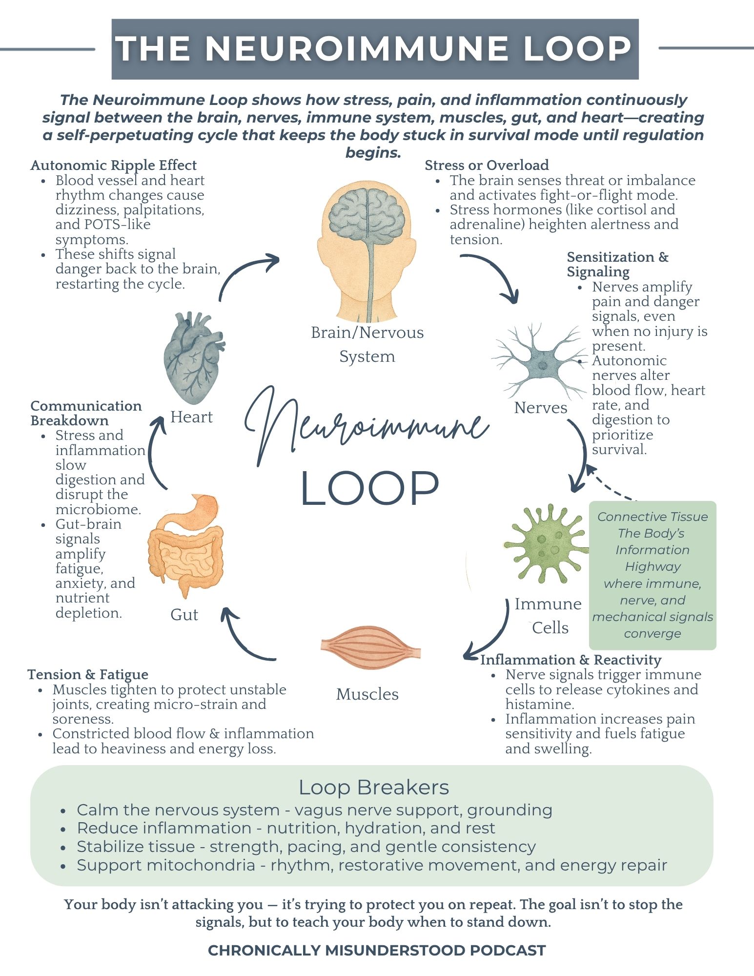 Chronically Misunderstood The hEDS Living Guide