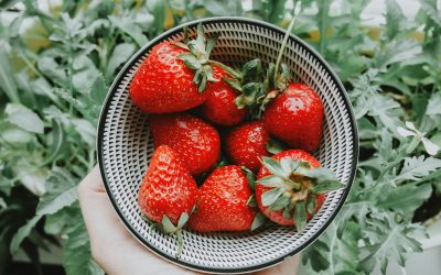 3 Foods That Flush Out ‘Zombie Cells’